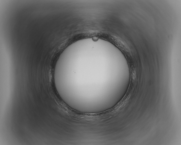 X0000112491204200908170944