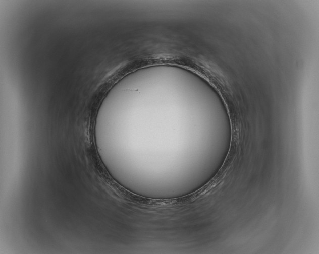 X0000112491205200908170944