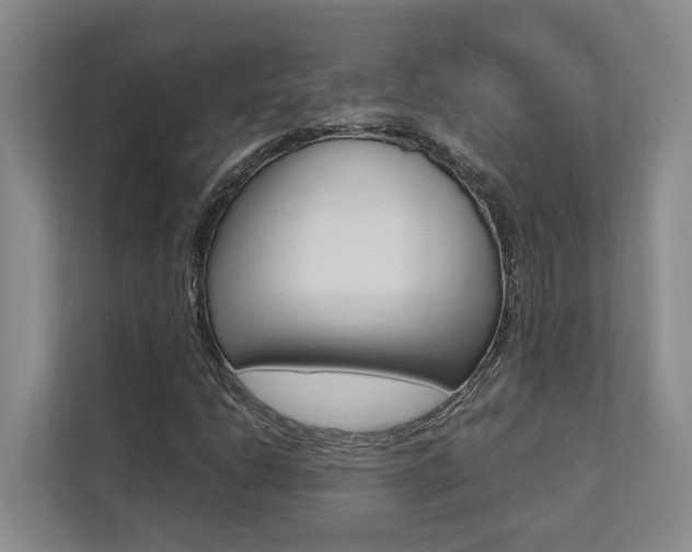 X0000112491206200908170944