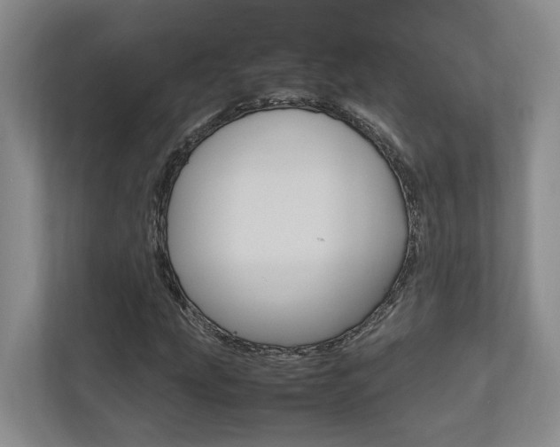 X0000112491207200908170944
