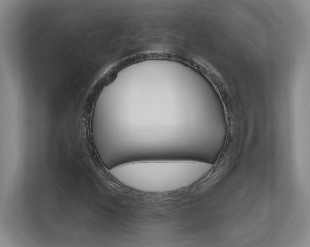 X0000112491208200908170944