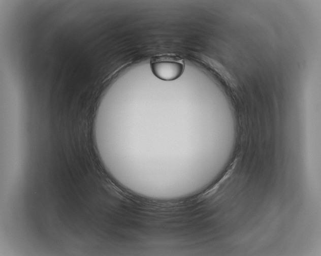 X0000112491209200908170944