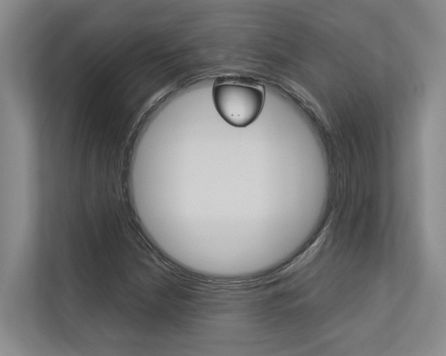 X0000112491210200908170944
