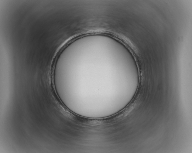 X0000112491212200908170944