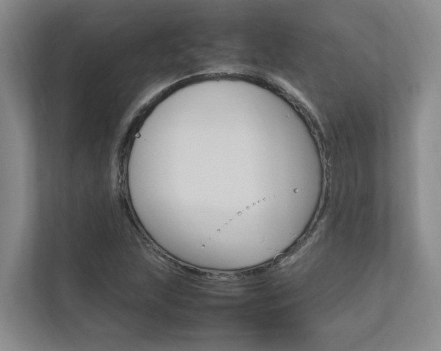 X0000112491215200908170944
