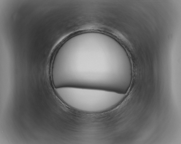 X0000112491216200908170944