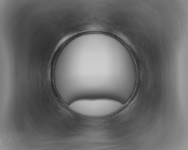 X0000112491222200908170944