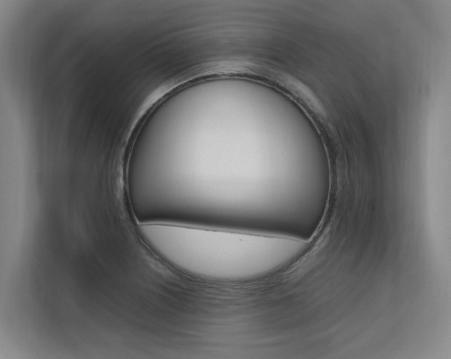 X0000112491226200908170945