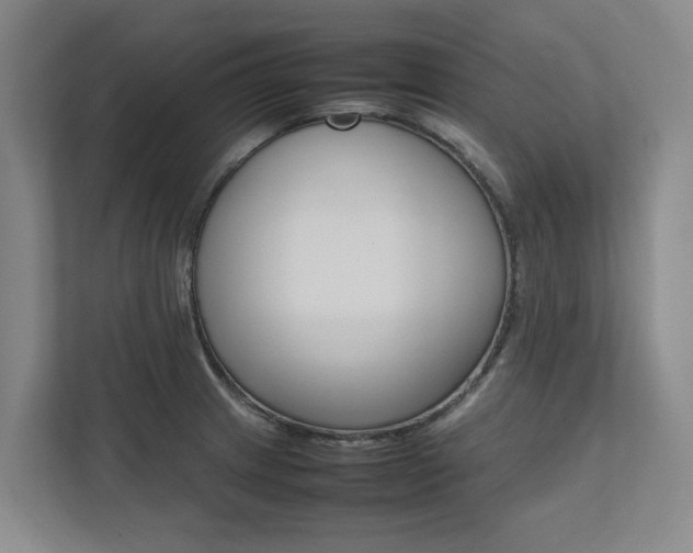 X0000112491233200908170945