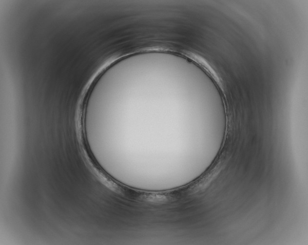 X0000112491235200908170945