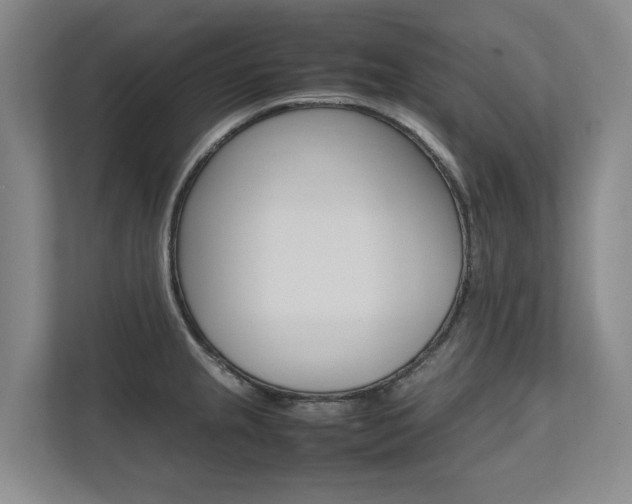 X0000112491237200908170945