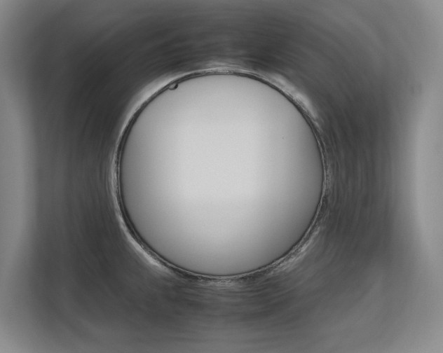 X0000112491239200908170945