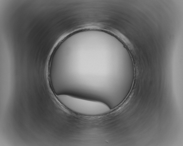 X0000112491240200908170945