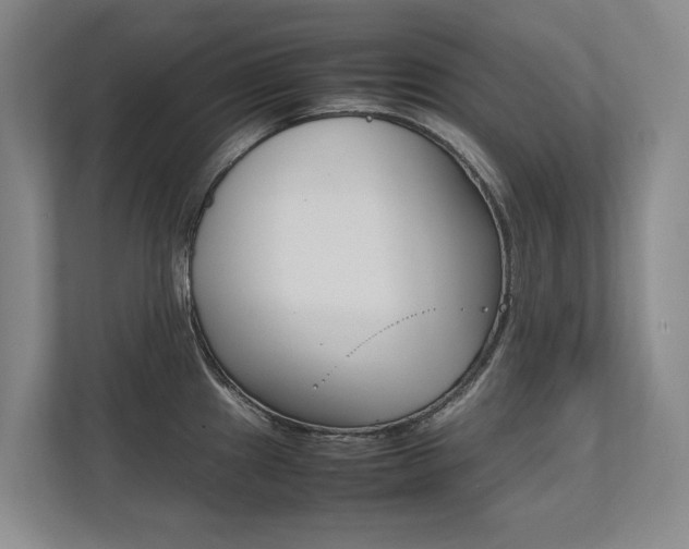 X0000112491241200908170945