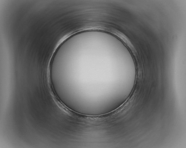X0000112491242200908170945