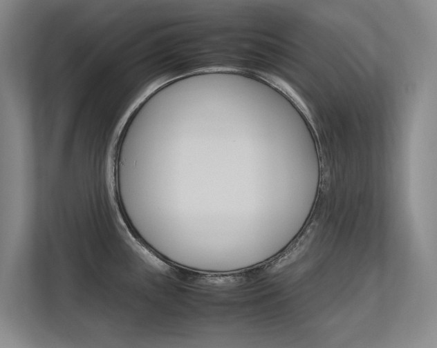 X0000112491243200908170945