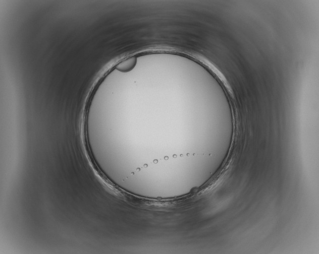X0000112491245200908170945