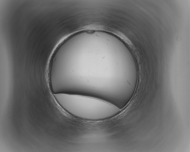 X0000112491248200908170945