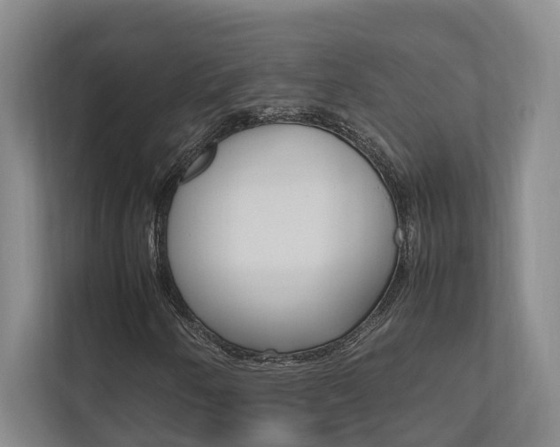 X0000112491250200908170944