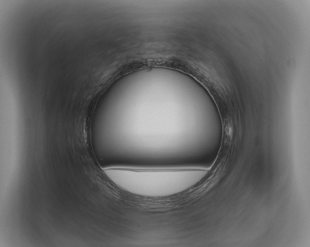 X0000112491252200908170944