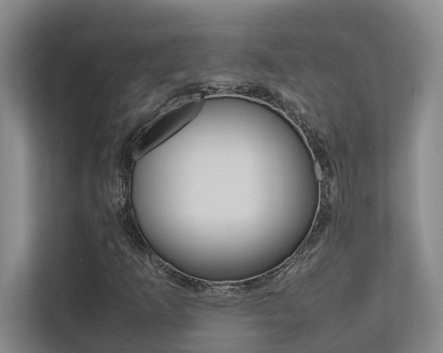 X0000112491253200908170944