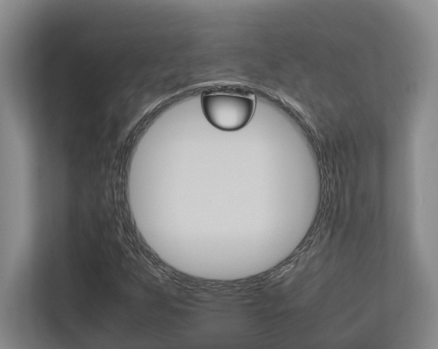 X0000112491255200908170944