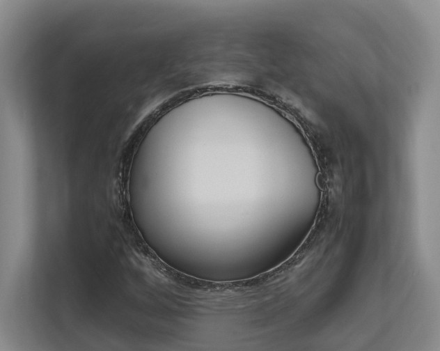 X0000112491256200908170944