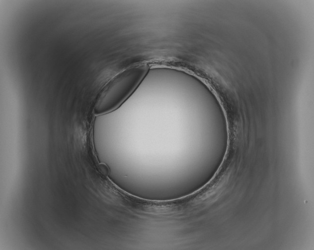 X0000112491257200908170944