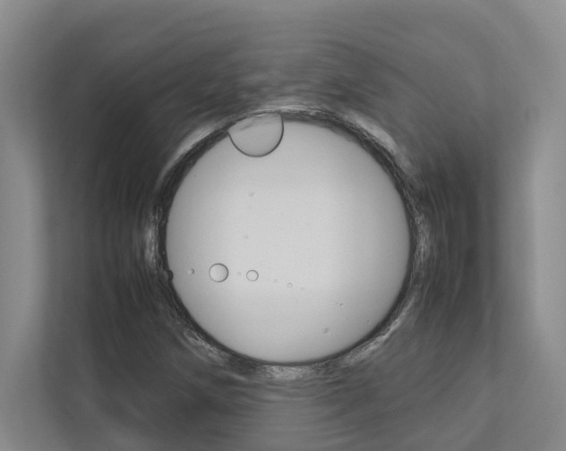 X0000112491258200908170944