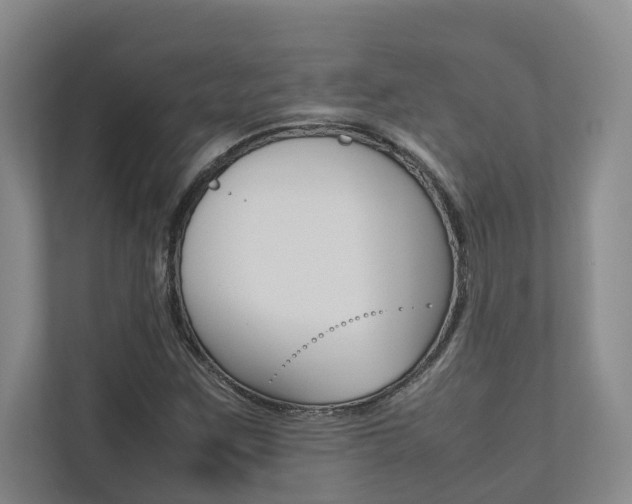 X0000112491259200908170944