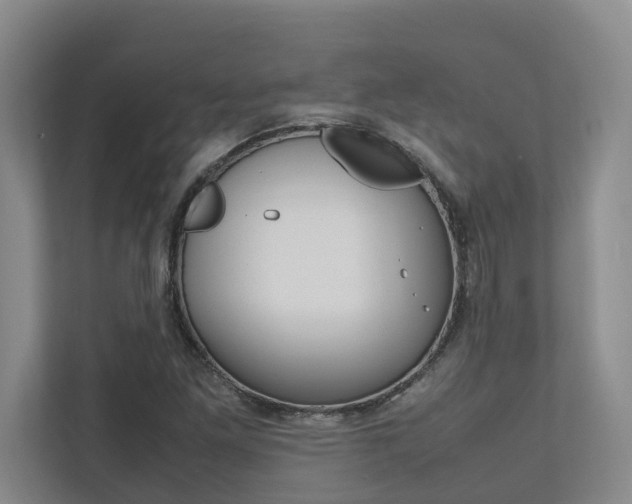 X0000112491261200908170944