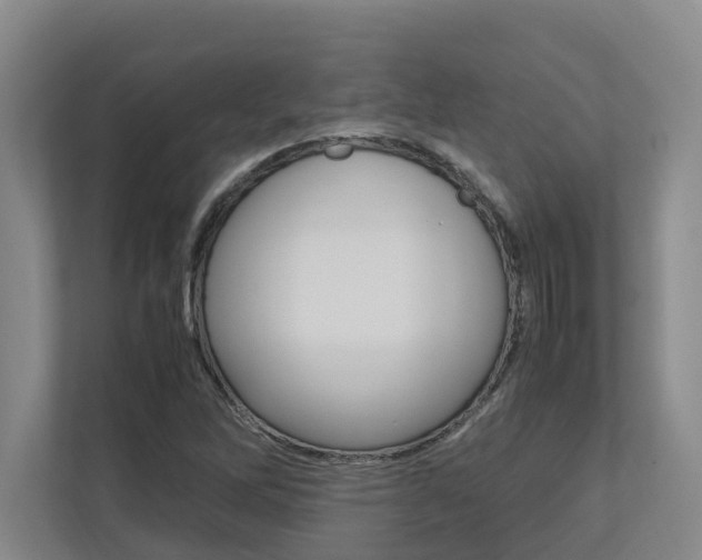 X0000112491262200908170944