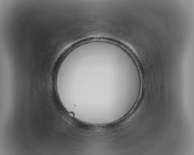 X0000112491263200908170944