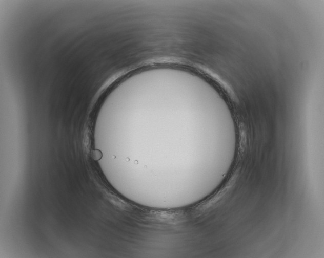 X0000112491266200908170944