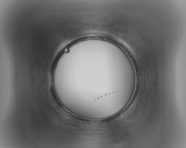 X0000112491267200908170944
