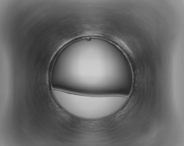 X0000112491268200908170944