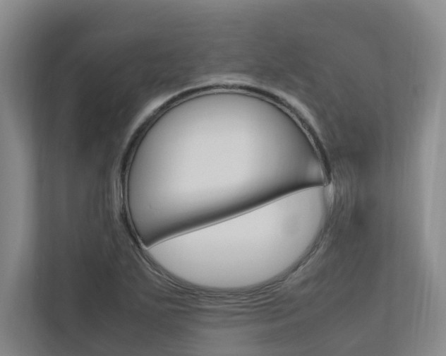X0000112491271200908170944
