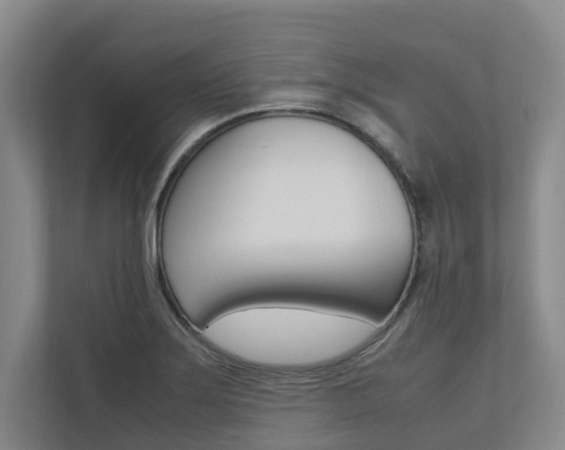 X0000112491275200908170944