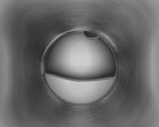 X0000112491276200908170944