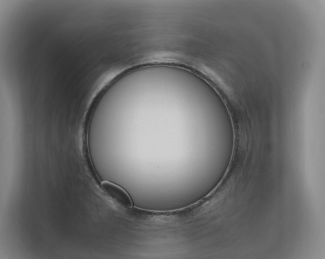 X0000112491277200908170944