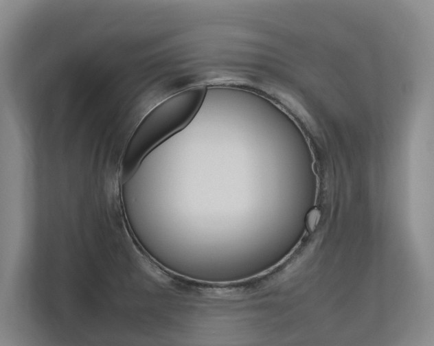 X0000112491281200908170944