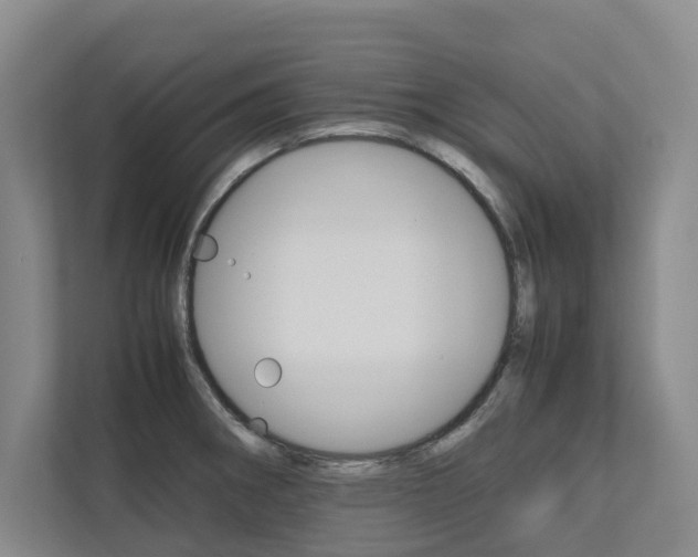X0000112491282200908170944