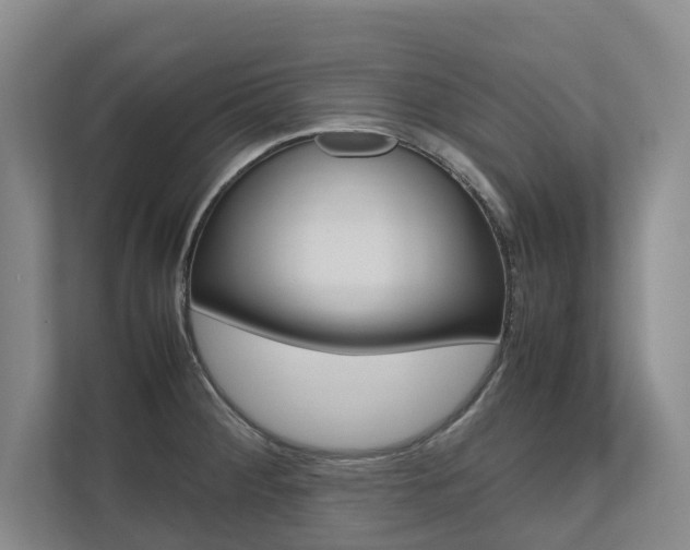 X0000112491284200908170944