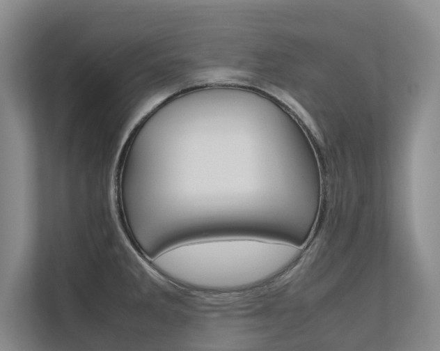 X0000112491285200908170944