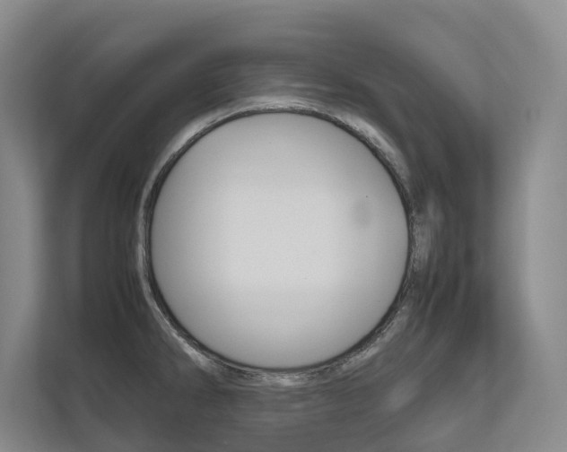X0000112491286200908170944
