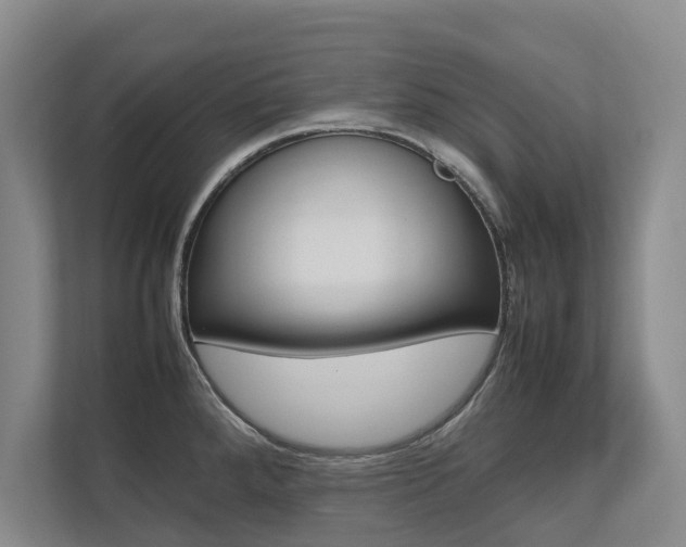 X0000112491288200908170944