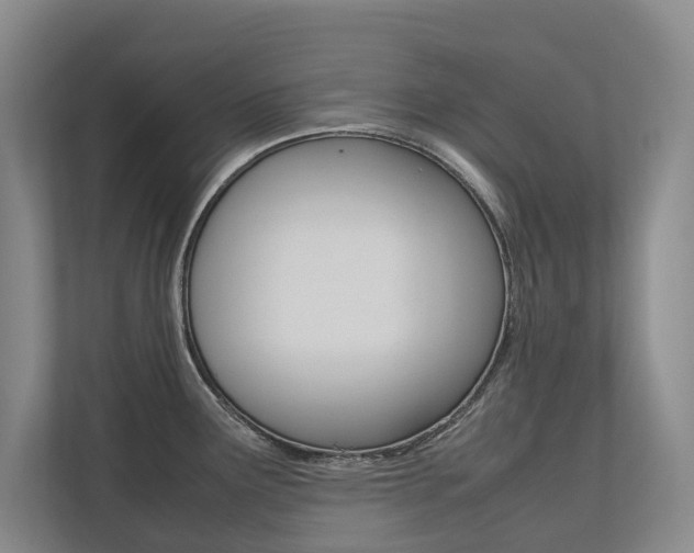 X0000112491291200908170944