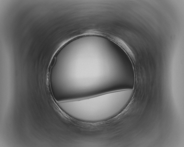 X0000112491292200908170944