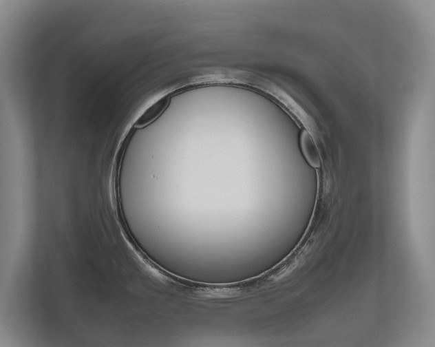 X0000112491293200908170944