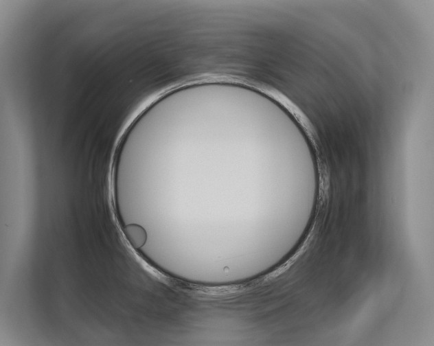 X0000112491294200908170944